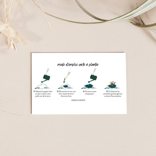Carte à planter illustration mimosa Green and Paper